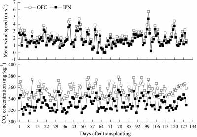 Effects of Insect-Proof Net Cultivation, Rice-Duck Farming, and Organic Matter Return on Rice Dry Matter Accumulation and Nitrogen Utilization